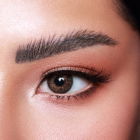  Amara One-Day Shadow 